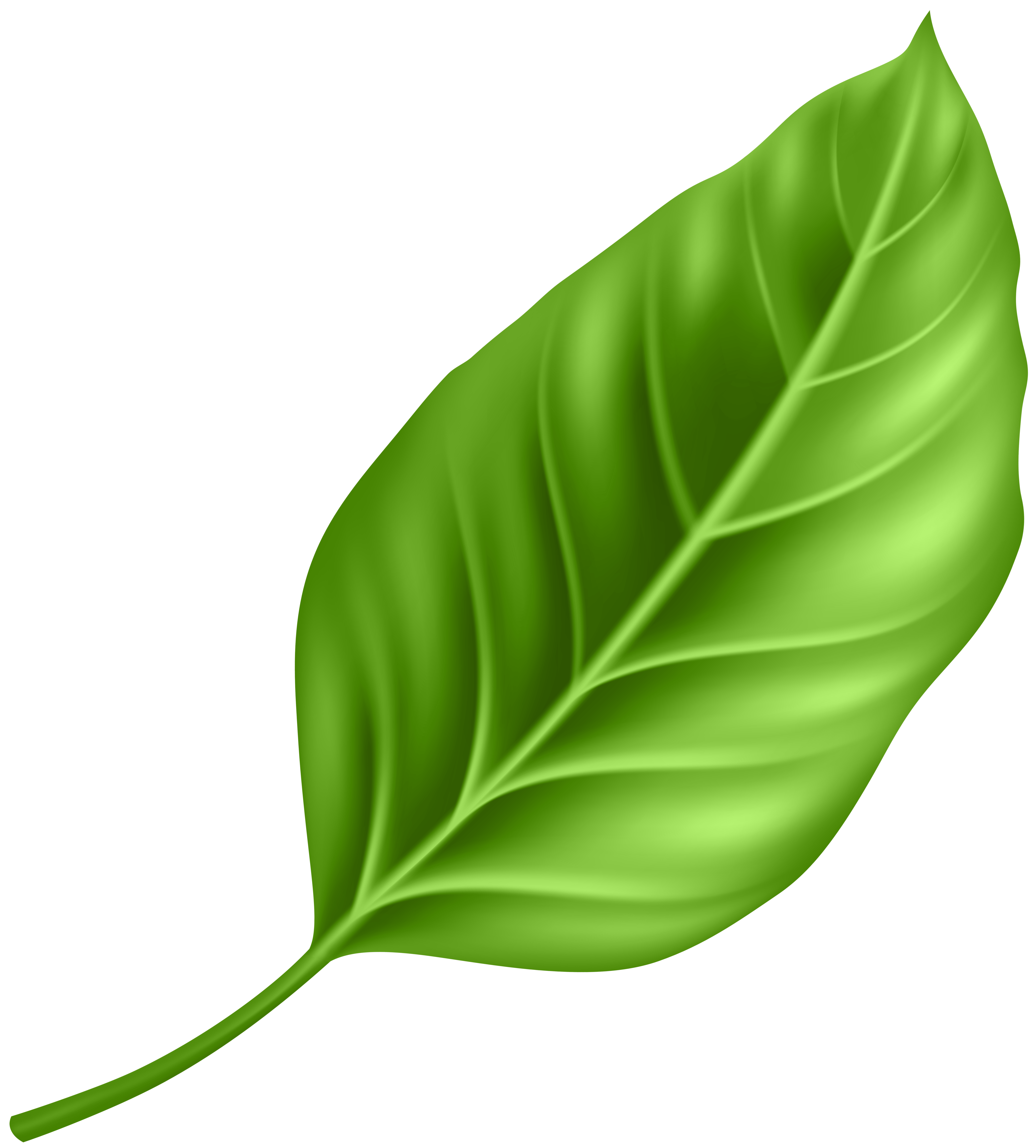 Leaf 2