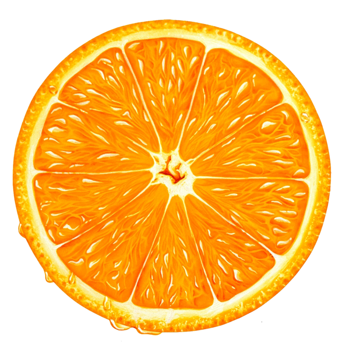Orange Slice 2
